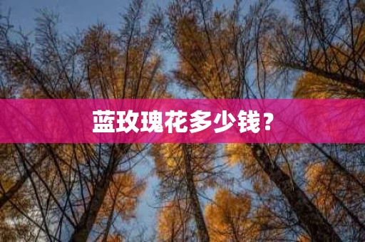 蓝玫瑰花多少钱？