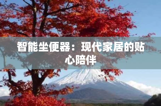 智能坐便器：现代家居的贴心陪伴
