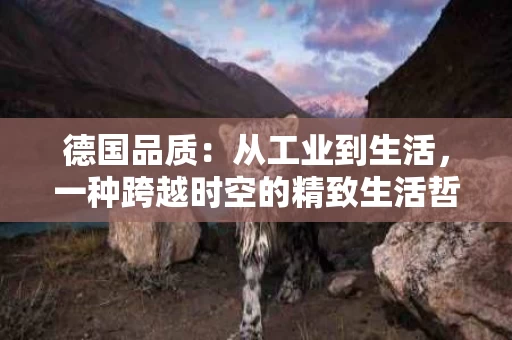 德国品质：从工业到生活，一种跨越时空的精致生活哲学