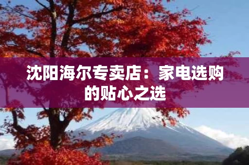 沈阳海尔专卖店：家电选购的贴心之选