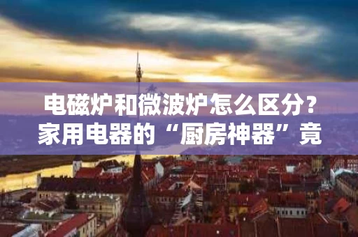 电磁炉和微波炉怎么区分?家用电器的“厨房神器”竟有这么多不同 电磁炉和微波炉怎么区分?家用电器的“厨房神器”竟有这么多不同