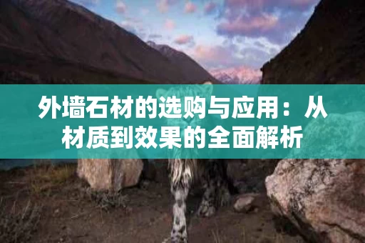外墙石材的选购与应用:从材质到效果的全面解析 外墙石材的选购与应用:从材质到效果的全面解析