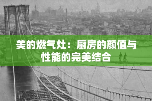 美的燃气灶:厨房的颜值与性能的完美结合 美的燃气灶:厨房的颜值与性能的完美结合