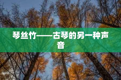 琴丝竹——古琴的另一种声音 琴丝竹——古琴的另一种声音