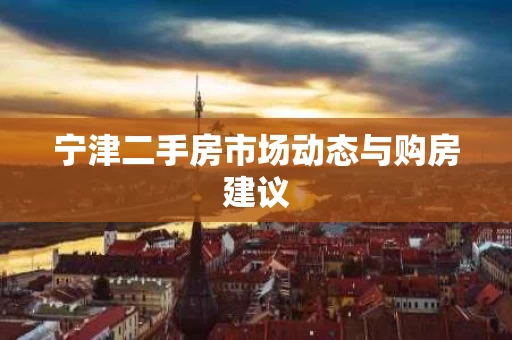 宁津二手房市场动态与购房建议