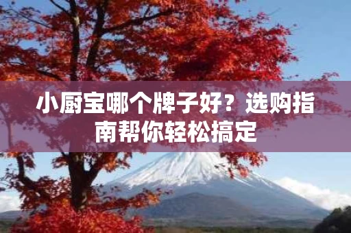 小厨宝哪个牌子好？选购指南帮你轻松搞定