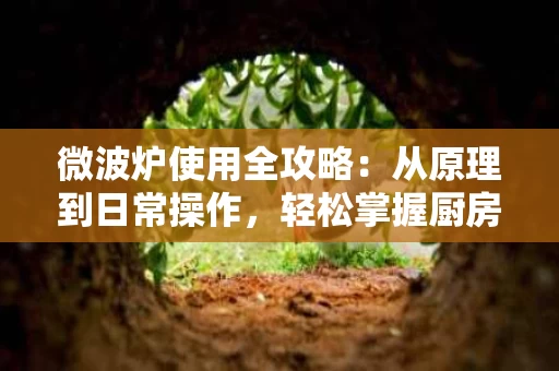 微波炉使用全攻略:从原理到日常操作,轻松掌握厨房神器 微波炉使用全攻略:从原理到日常操作,轻松掌握厨房神器