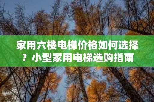 家用六楼电梯价格如何选择？小型家用电梯选购指南