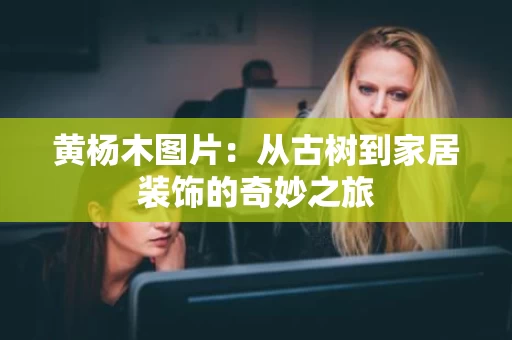黄杨木图片：从古树到家居装饰的奇妙之旅