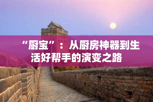 “厨宝”:从厨房神器到生活好帮手的演变之路 “厨宝”:从厨房神器到生活好帮手的演变之路