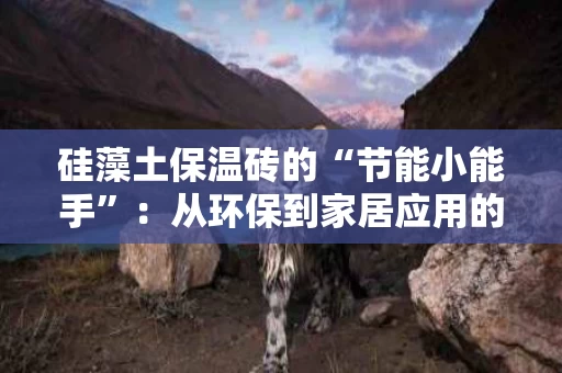 硅藻土保温砖的“节能小能手”:从环保到家居应用的奇妙之旅 硅藻土保温砖的“节能小能手”:从环保到家居应用的奇妙之旅