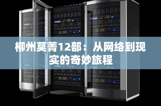 柳州莫菁12部:从网络到现实的奇妙旅程 柳州莫菁12部:从网络到现实的奇妙旅程