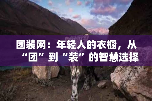 团装网：年轻人的衣橱，从“团”到“装”的智慧选择