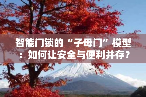 智能门锁的“子母门”模型:如何让安全与便利并存? 智能门锁的“子母门”模型:如何让安全与便利并存?