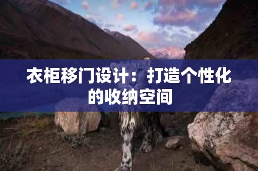衣柜移门设计：打造个性化的收纳空间