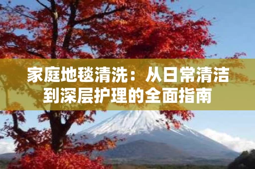 家庭地毯清洗:从日常清洁到深层护理的全面指南 家庭地毯清洗:从日常清洁到深层护理的全面指南