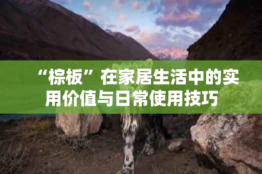“棕板”在家居生活中的实用价值与日常使用技巧