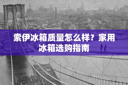 索伊冰箱质量怎么样?家用冰箱选购指南 索伊冰箱质量怎么样?家用冰箱选购指南
