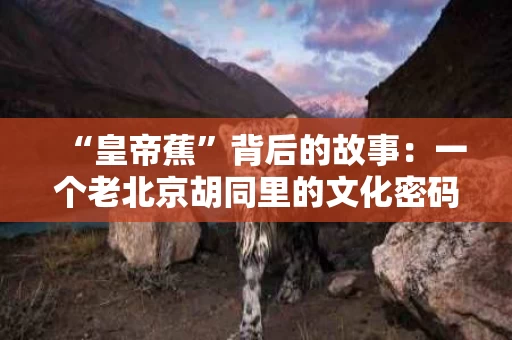 “皇帝蕉”背后的故事：一个老北京胡同里的文化密码