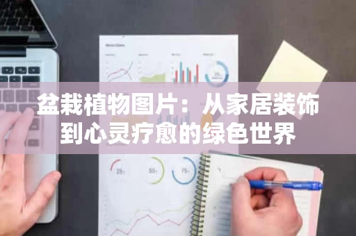 盆栽植物图片：从家居装饰到心灵疗愈的绿色世界