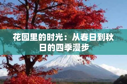 花园里的时光：从春日到秋日的四季漫步