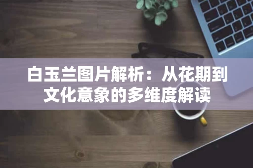 白玉兰图片解析：从花期到文化意象的多维度解读