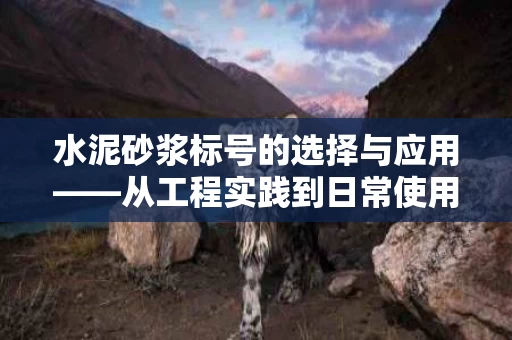 水泥砂浆标号的选择与应用——从工程实践到日常使用