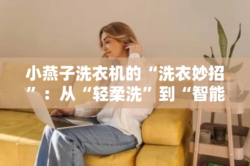 小燕子洗衣机的“洗衣妙招”：从“轻柔洗”到“智能洗”全解析