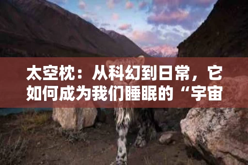 太空枕：从科幻到日常，它如何成为我们睡眠的“宇宙级”陪伴