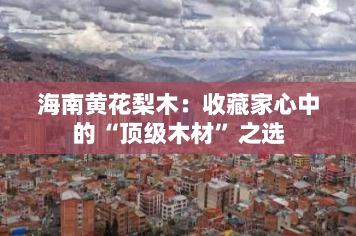 海南黄花梨木：收藏家心中的“顶级木材”之选