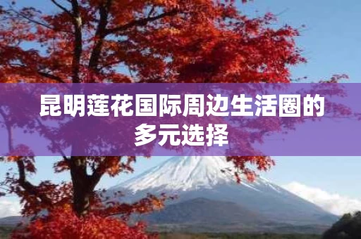 昆明莲花国际周边生活圈的多元选择