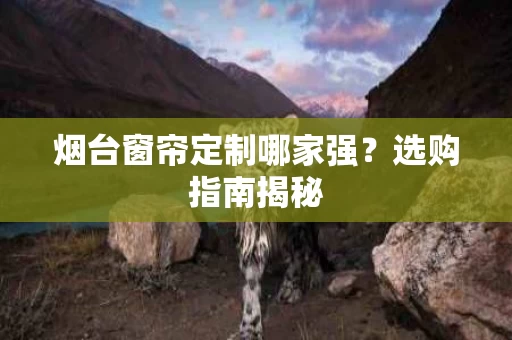 烟台窗帘定制哪家强？选购指南揭秘