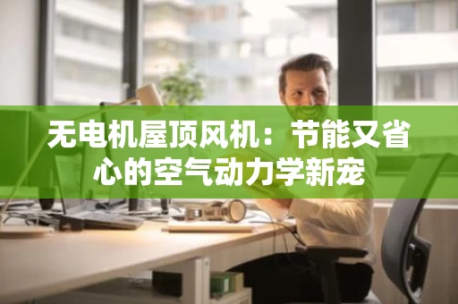 无电机屋顶风机：节能又省心的空气动力学新宠