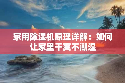 家用除湿机原理详解:如何让家里干爽不潮湿 家用除湿机原理详解:如何让家里干爽不潮湿