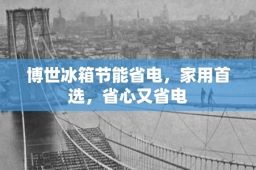 博世冰箱节能省电,家用首选,省心又省电 博世冰箱节能省电,家用首选,省心又省电