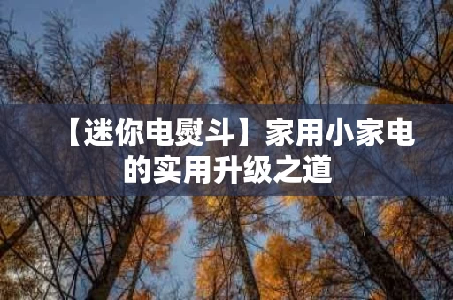 【迷你电熨斗】家用小家电的实用升级之道