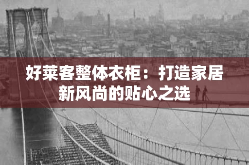 好莱客整体衣柜：打造家居新风尚的贴心之选