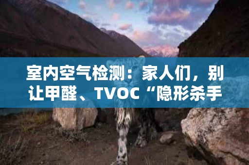 室内空气检测:家人们,别让甲醛、TVOC“隐形杀手”害了你 室内空气检测:家人们,别让甲醛、TVOC“隐形杀手”害了你