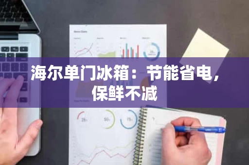 海尔单门冰箱:节能省电,保鲜不减 海尔单门冰箱:节能省电,保鲜不减