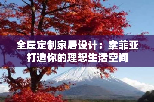 全屋定制家居设计：索菲亚打造你的理想生活空间
