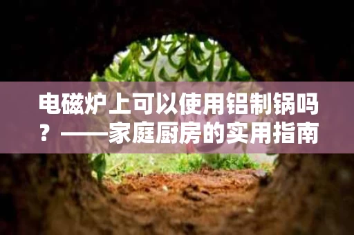 电磁炉上可以使用铝制锅吗?——家庭厨房的实用指南 电磁炉上可以使用铝制锅吗?——家庭厨房的实用指南