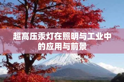 超高压汞灯在照明与工业中的应用与前景