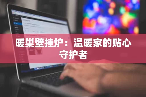 暖巢壁挂炉：温暖家的贴心守护者