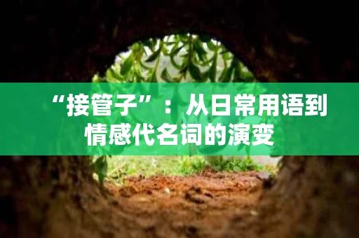 “接管子”:从日常用语到情感代名词的演变 “接管子”:从日常用语到情感代名词的演变