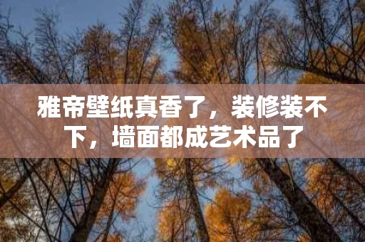 雅帝壁纸真香了，装修装不下，墙面都成艺术品了
