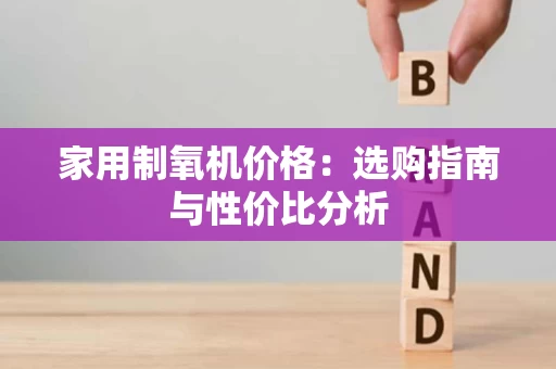 家用制氧机价格：选购指南与性价比分析