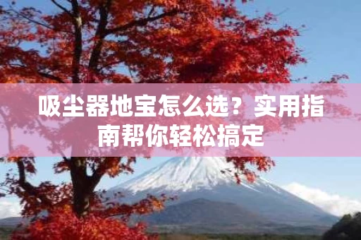 吸尘器地宝怎么选?实用指南帮你轻松搞定 吸尘器地宝怎么选?实用指南帮你轻松搞定