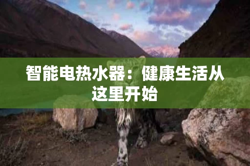 智能电热水器：健康生活从这里开始