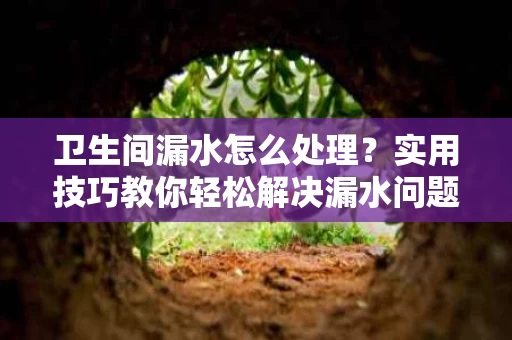 卫生间漏水怎么处理？实用技巧教你轻松解决漏水问题