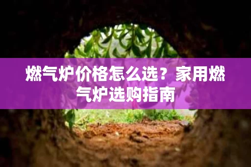 燃气炉价格怎么选?家用燃气炉选购指南 燃气炉价格怎么选?家用燃气炉选购指南